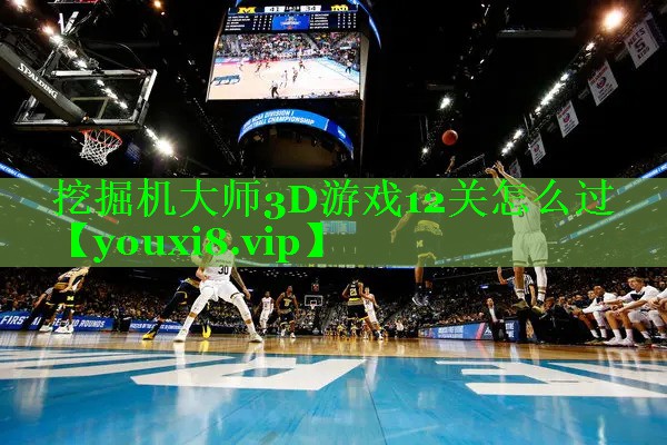 挖掘机大师3D游戏12关怎么过