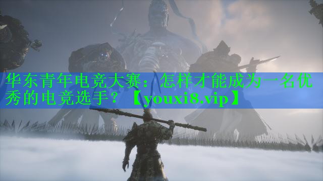 华东青年电竞大赛:怎样才能成为一名优秀的电竞选手? 华东青年电竞大赛:怎样才能成为一名优秀的电竞选手?
