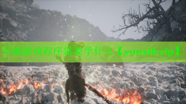 学做游戏程序需要学什么
